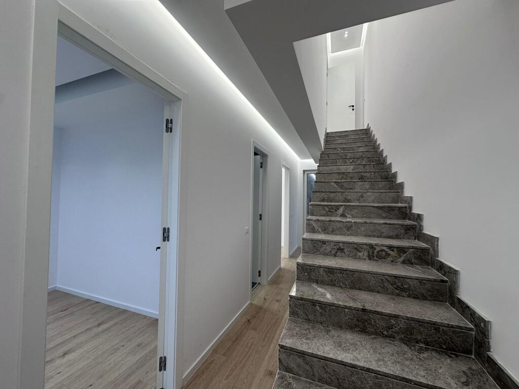 Vile me qera tek Fz Forest