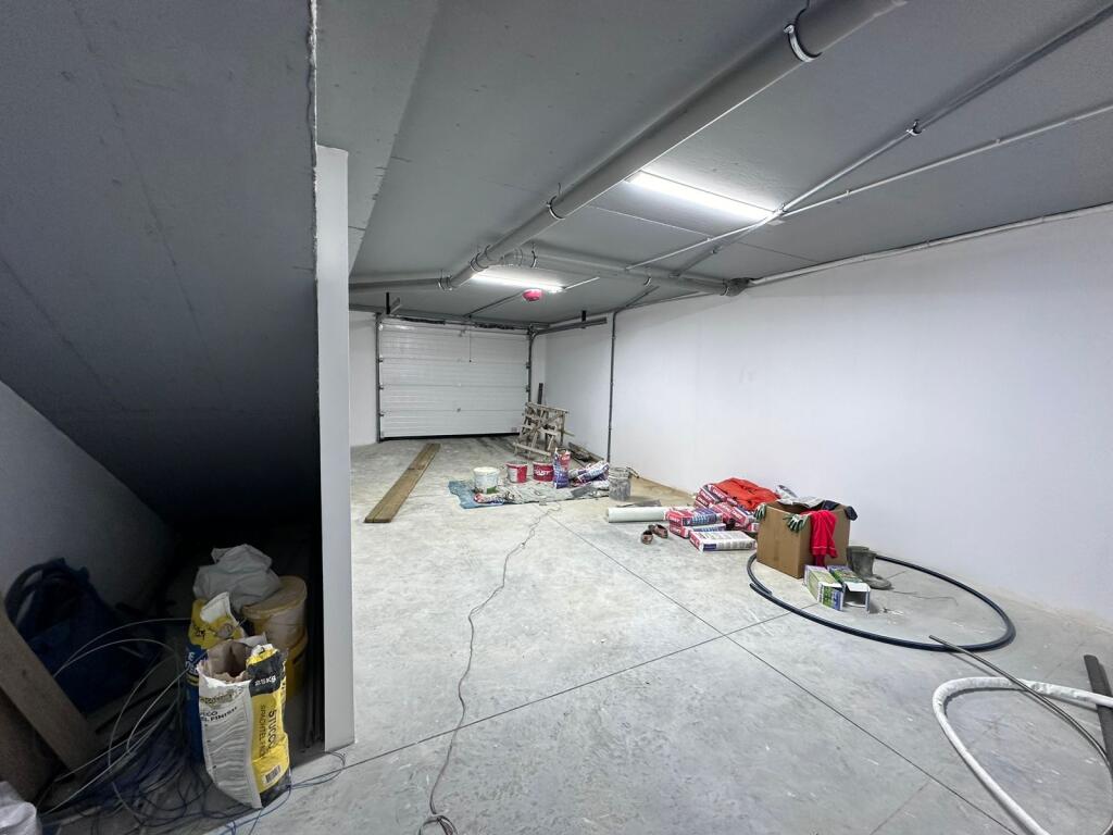 Vile me qera tek Fz Forest