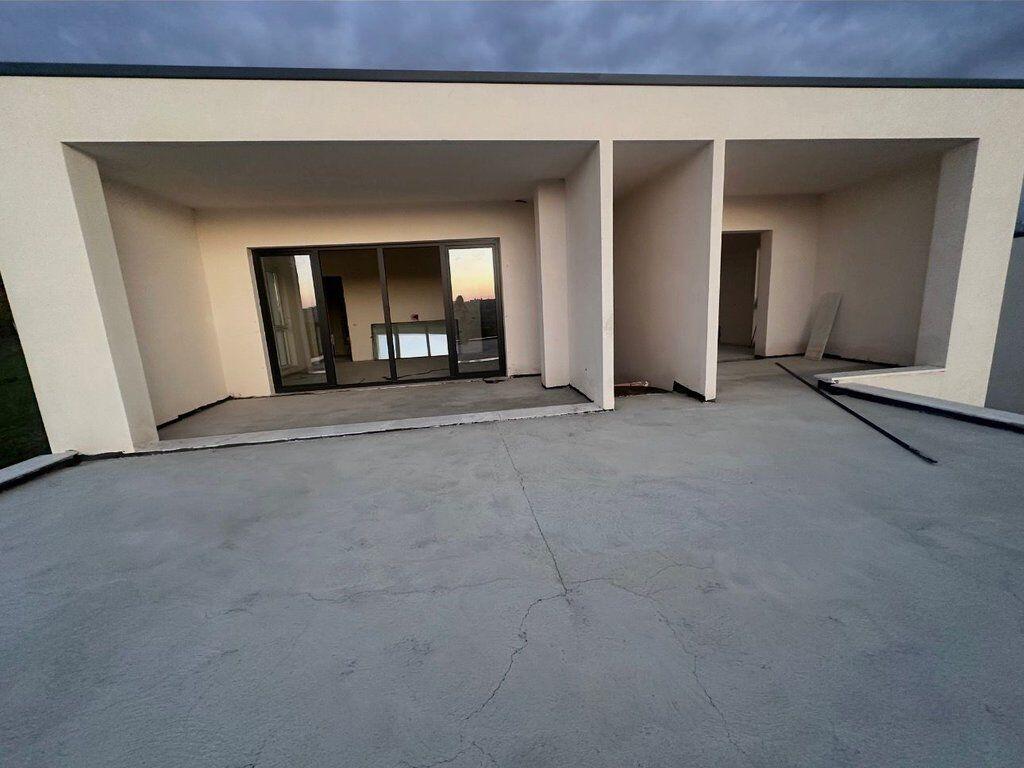 Shitet Vilë, Farkë