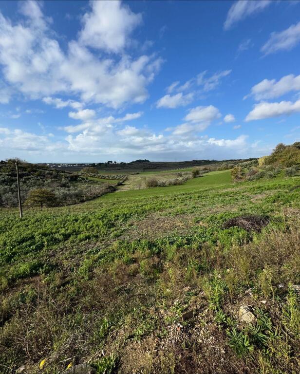 💥 Shitet toke ne koder me pamje deti,Agonas,Golem💥