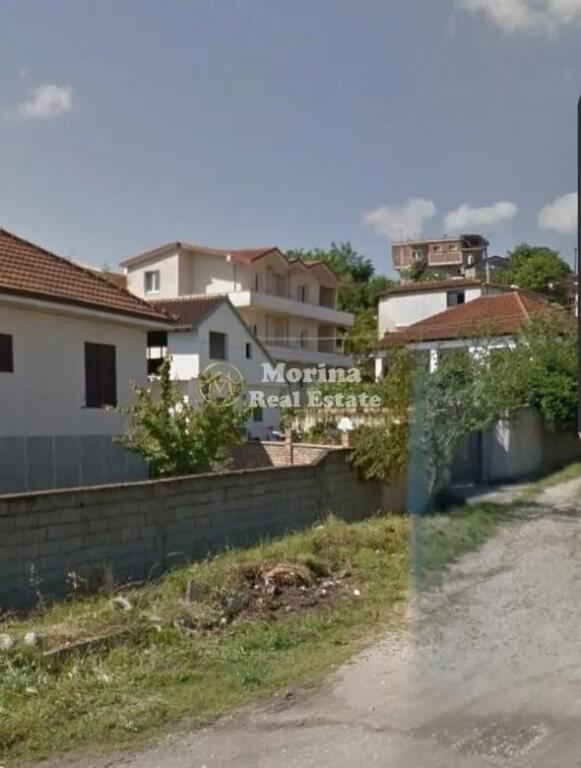 Qera, Ambient Biznesi, Domje, Tirane, 300 euro/muaj
