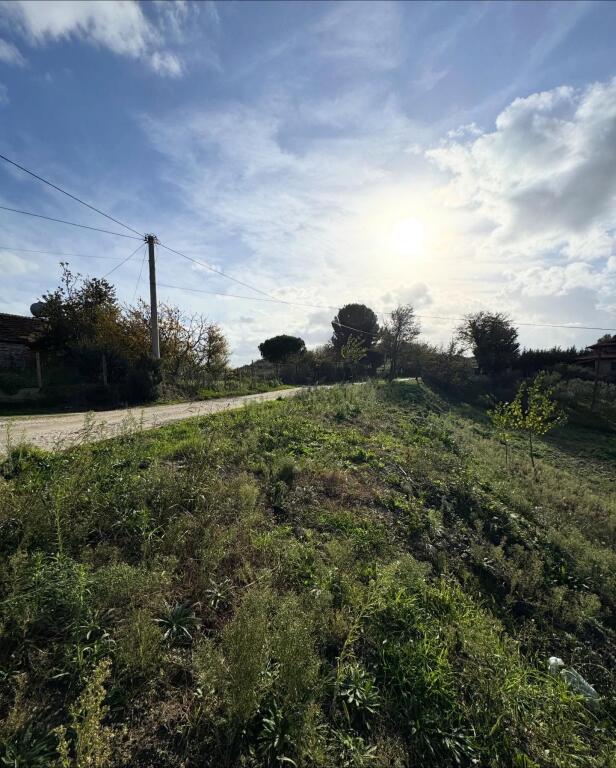 💥 Shitet toke ne koder me pamje deti,Agonas,Golem💥