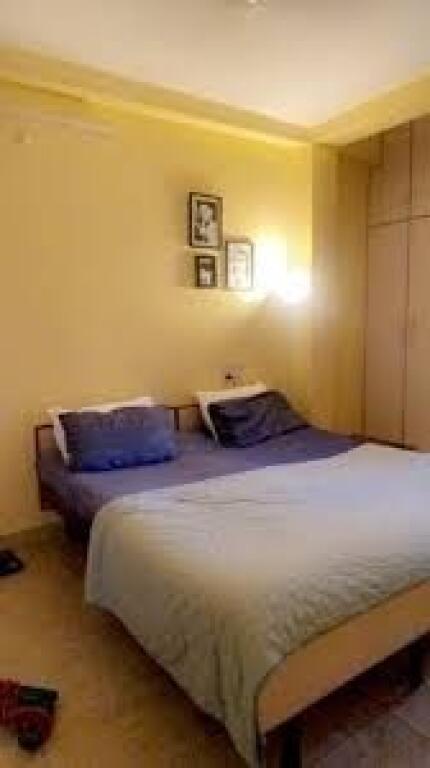 Vile me Qera Ne 5 Maj (ID BV22523) Tirane