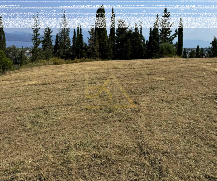 Shitet Tokë – Anthoupoli, Patras, Greqi