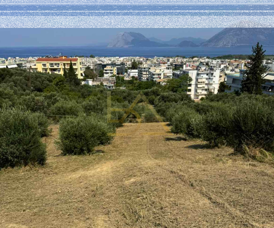 Shitet Tokë – Anthoupoli, Patras, Greqi