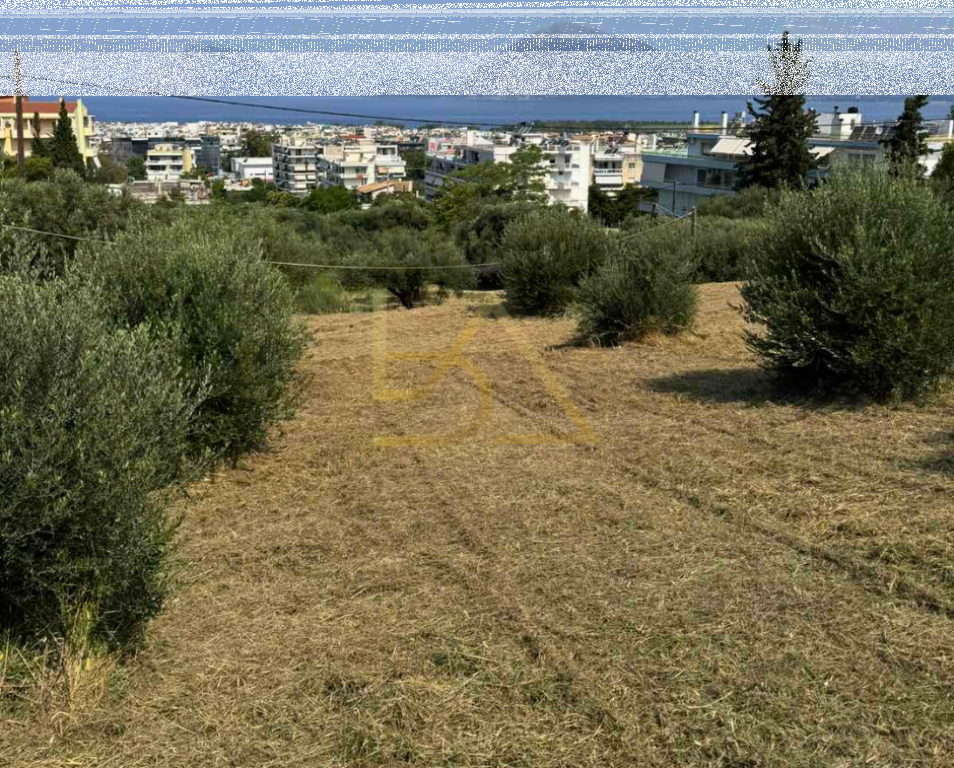 Shitet Tokë – Anthoupoli, Patras, Greqi