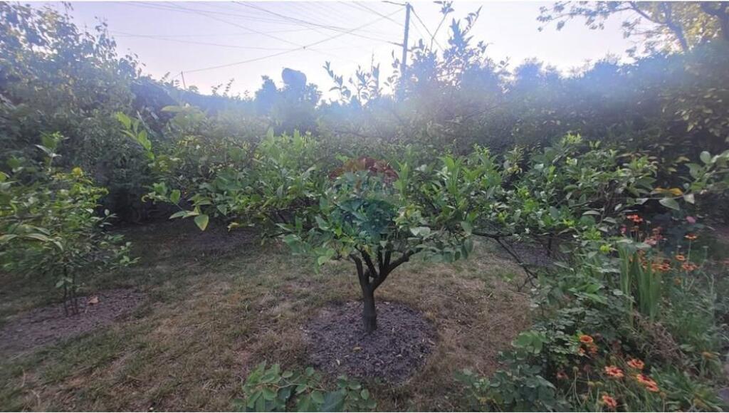 Shitet vile 1 kateshe + papafingo ne insitut