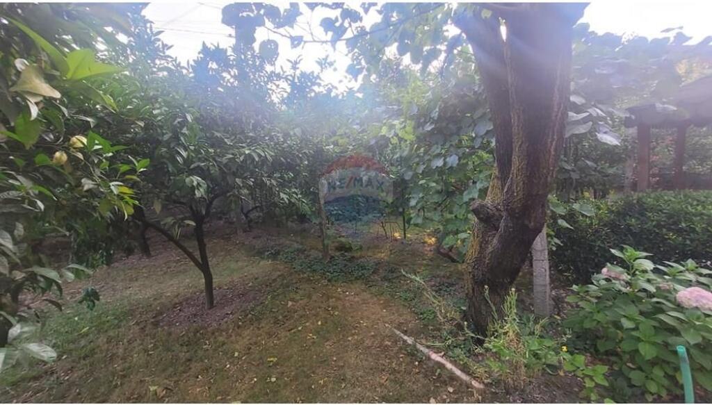 Shitet vile 1 kateshe + papafingo ne insitut