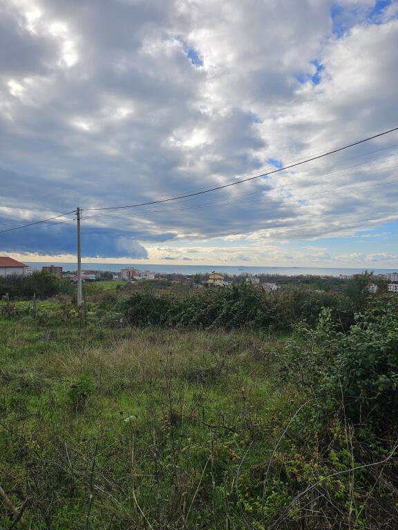 SUPER TOKE PER SHITJE ME PAMJE DETI NE ARAPAJ DURRES