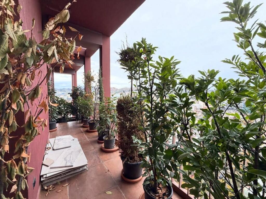 𝐑𝐀𝐒𝐇 𝐆𝐀𝐑𝐃𝐄𝐍 𝐁𝐔𝐈𝐋𝐃𝐈𝐍𝐆💥  • 🏠Ambient Zyrash per qira.  📍Garden Building /21-Dhjetori.  📐160 m2.  💶200.000ALL/muaj. ——————————————— AMBIENT ZYRASH OFROHET PER QIRA TEK GARDEN BUILDING RESIDENCE TEK 21-DHJETORI