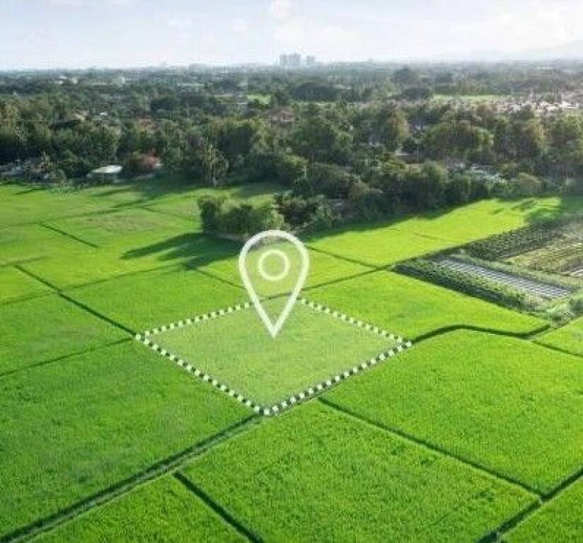 Toke are, Linze/Dajt, 30.000 Euro.