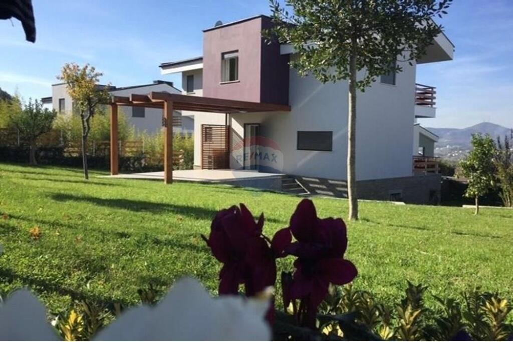 VILE TRE KATESHE ME QIRA LONG HILL