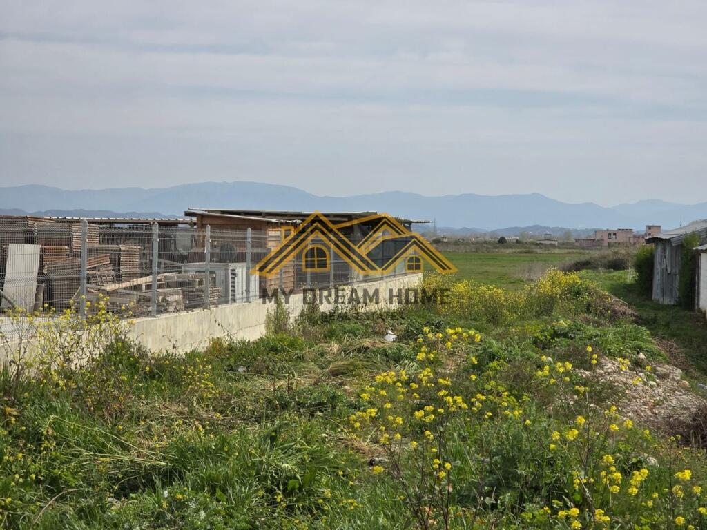TOKE PER SHITJE NE XHAFZOTAJ-DURRES!