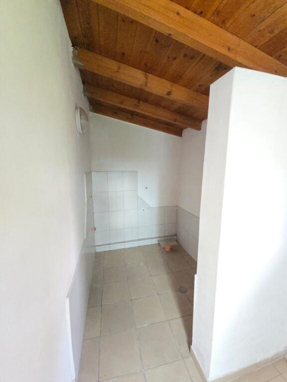 JEPET ME QERA AMBJENT BIZNESI BUZE RRUGE PLEPA