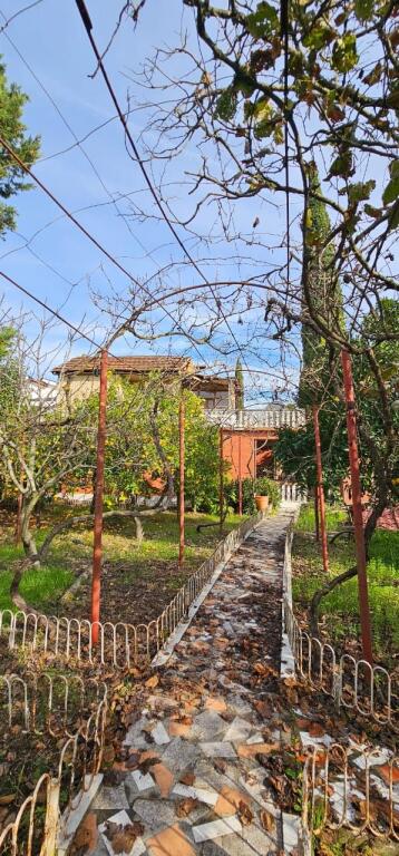 SHITET SHTËPI PRIVATE • 4 RRUGET SHIJAK