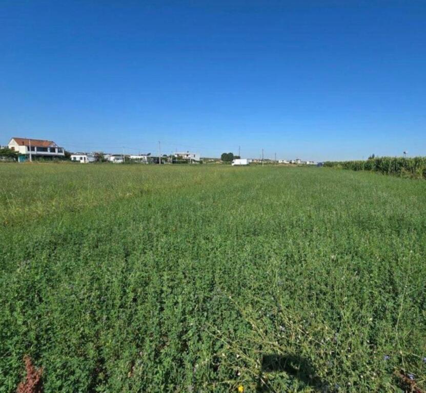 Toke+Ndertim per shitje, Domje