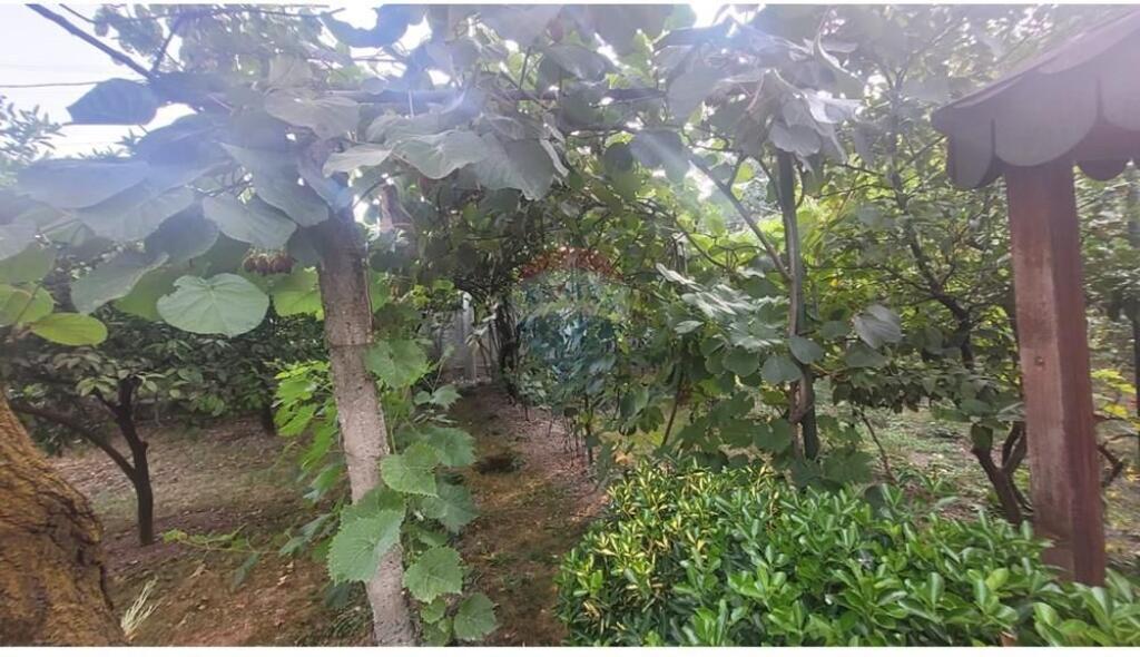 Casa privata - In vendita - UBT, Kamëz(ID: 530221066-52)