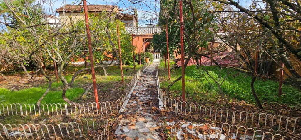 SHITET SHTËPI PRIVATE • 4 RRUGET SHIJAK