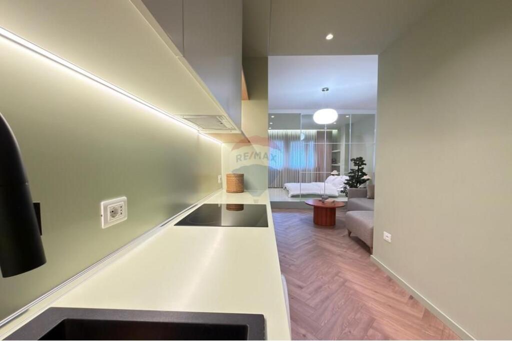 Apartment 1+1 for rent near the Ballet School