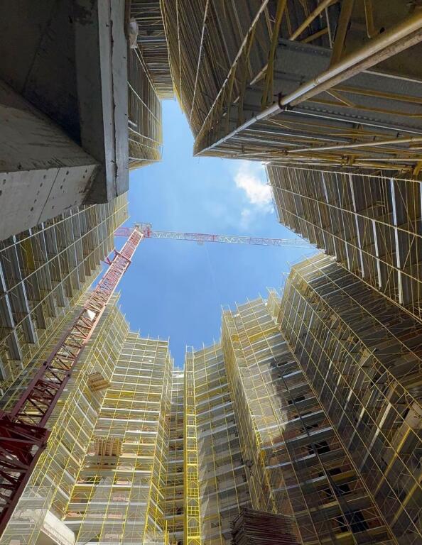 Post parkim per shitje, Zogu i Zi