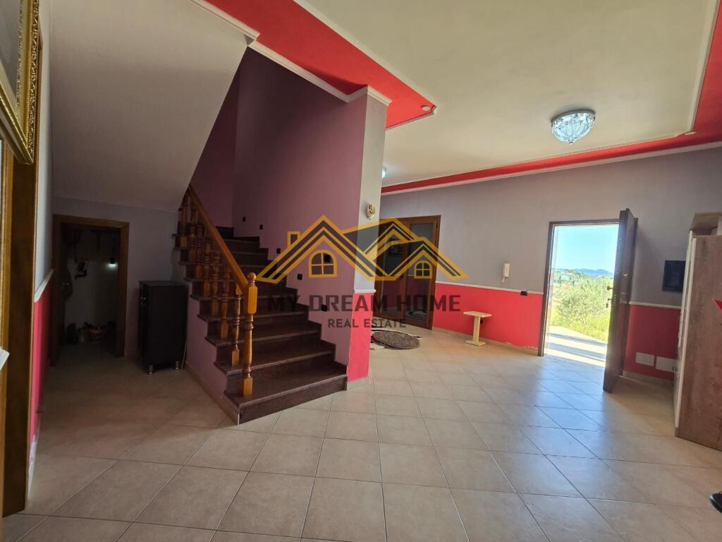 VILE PER SHITJE NE SHIJAK !!