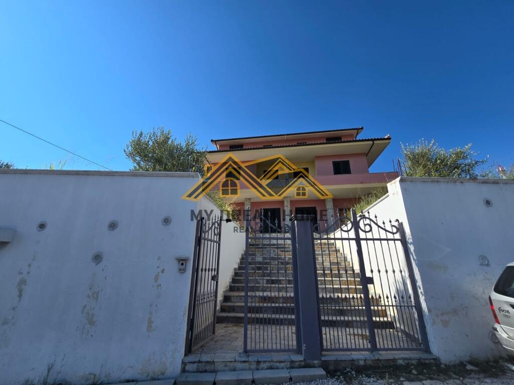 VILE PER SHITJE NE SHIJAK !!