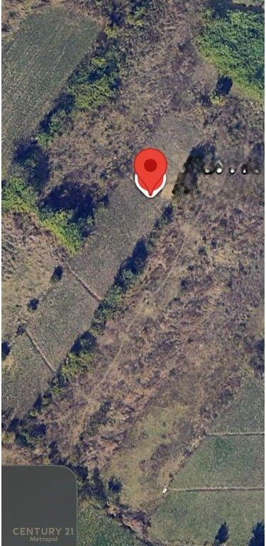 Shitet tokë arë pranë Liqenit të Kasharit – mundësi ideale investimi