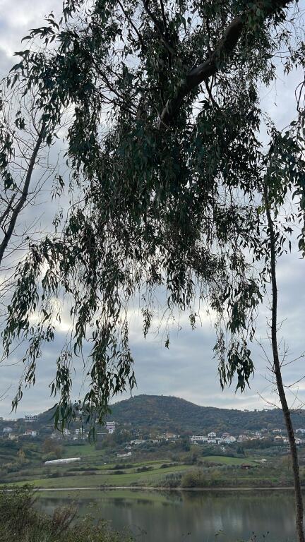 Shitet 3000 m2 toke buze liqeni ne Kashar