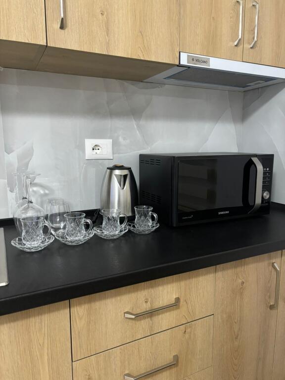 Apartment for rent 1+1+parking Electric market