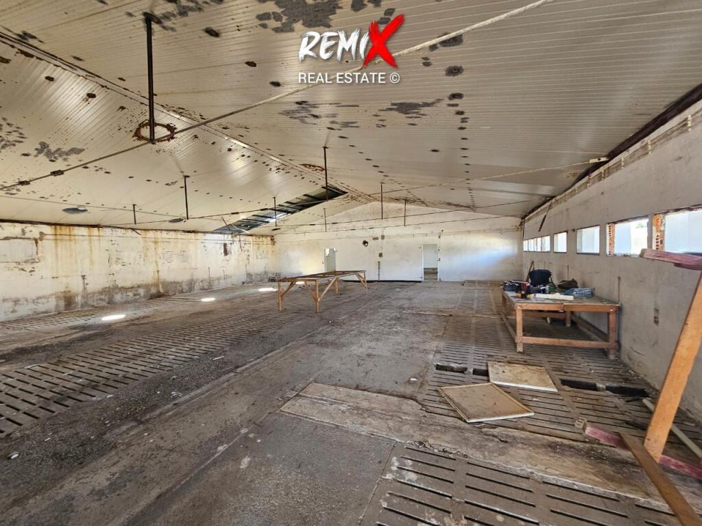 MAGAZINË PËR SHITJE – XHAFZOTAJ, DURRËS