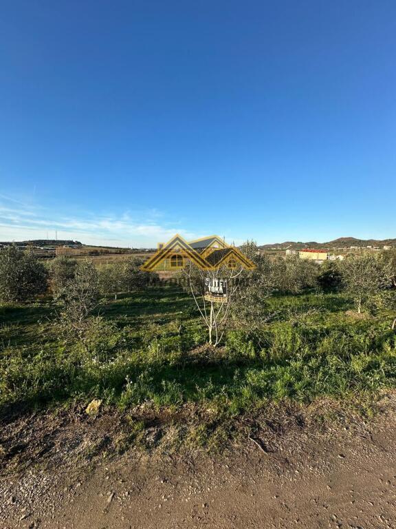 SHITET TOKE MANEZ E PERSHTATESHME PER SHTEPI