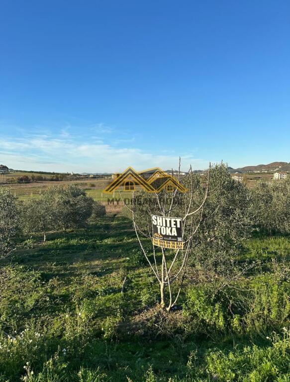 SHITET TOKE MANEZ E PERSHTATESHME PER SHTEPI