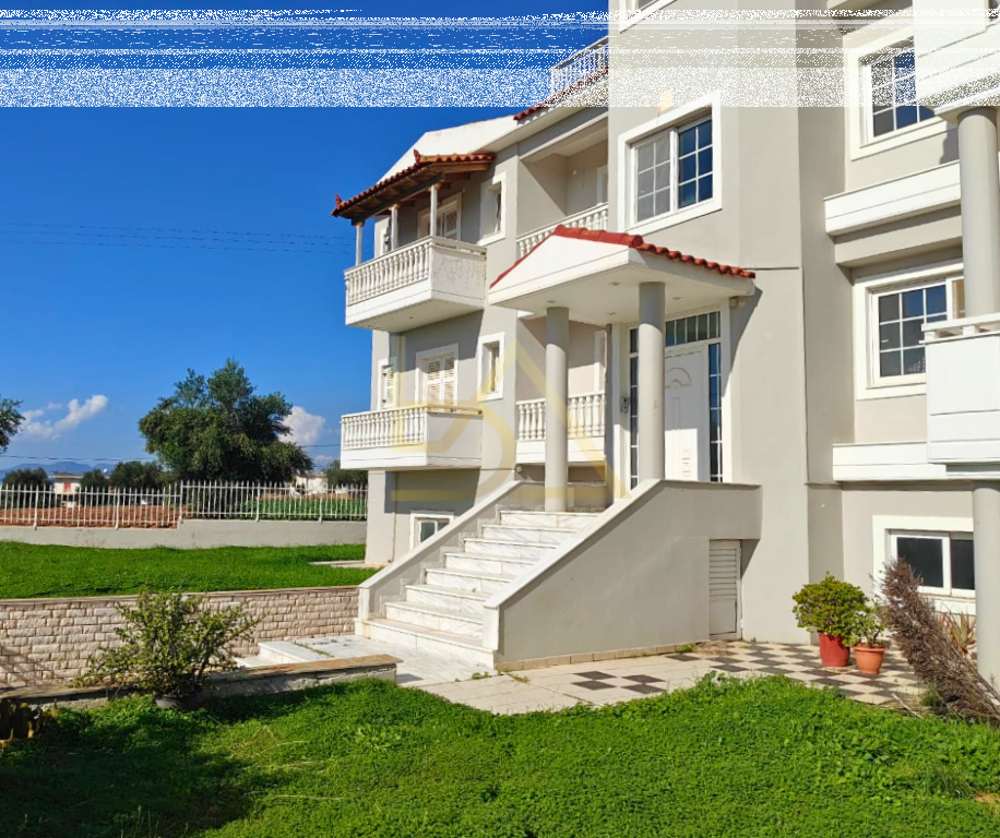 Shitet Vila– Akovitika, Kalamata, Greqi