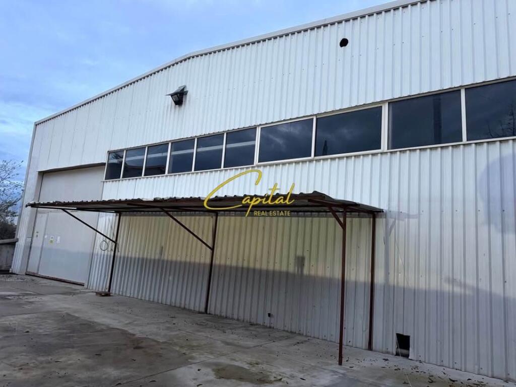 MAGAZZINO IN AFFITTO 300 M2 KAMEZ 230.000 LEKE