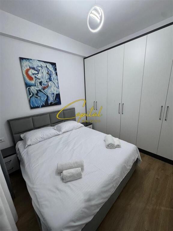 APARTAMENT ME QERA 1+1 ALI DEMI 450 EURO