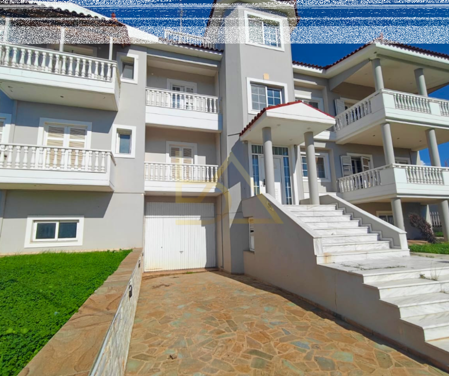 Shitet Vila– Akovitika, Kalamata, Greqi