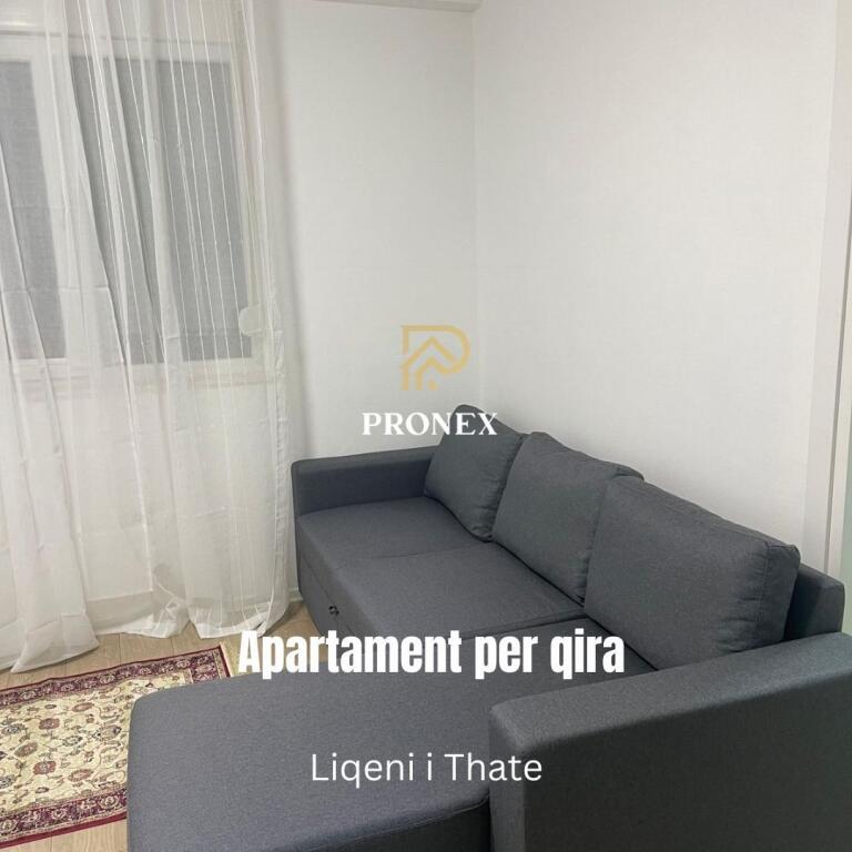 Apartment 1+1 for rent