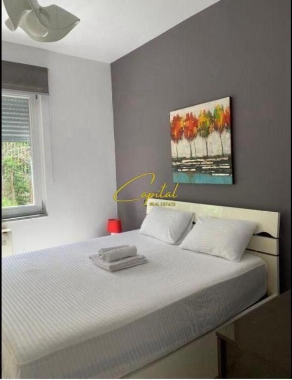 APPARTAMENTO IN AFFITTO 1+1 GIARDINO ZOOLOGICO 600 EURO