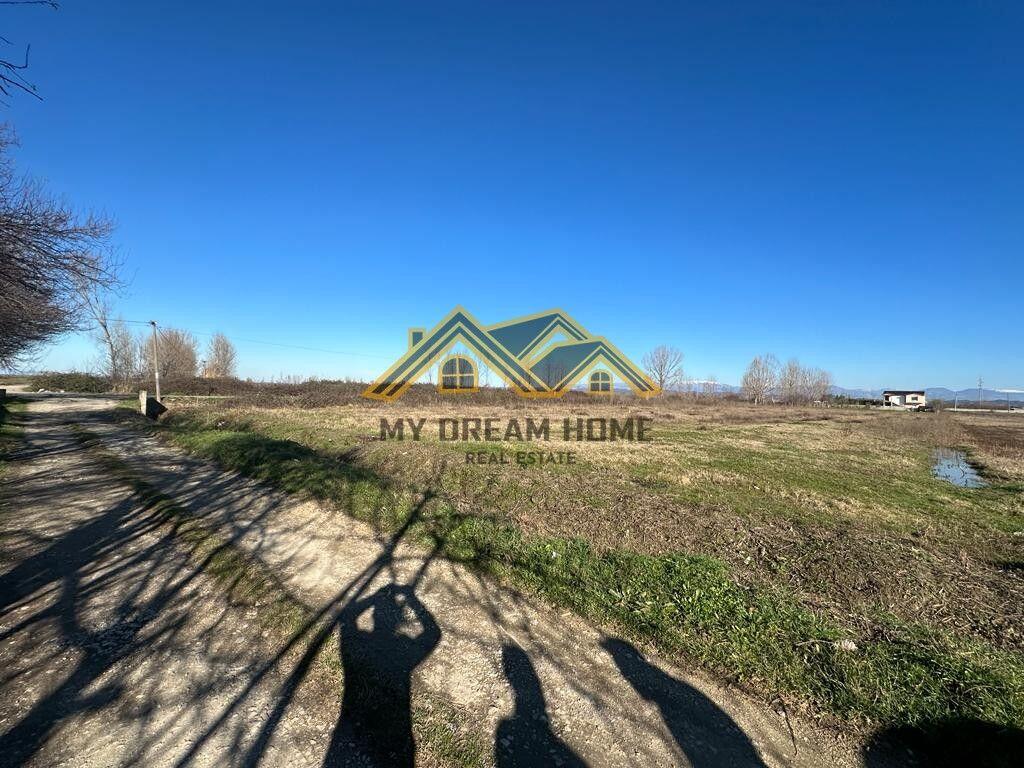 SHITET TOKE NE ZONE INDUSTRIALE NE FLLAKE!!