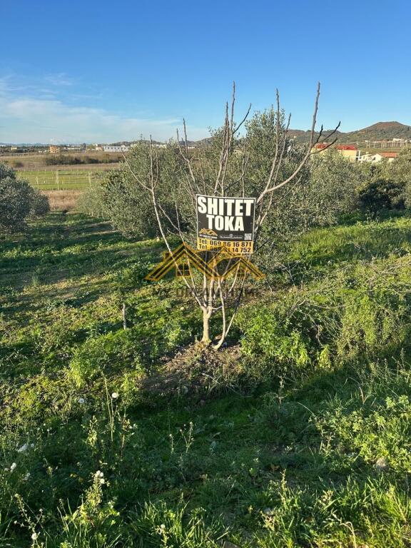 SHITET TOKE MANEZ E PERSHTATESHME PER SHTEPI