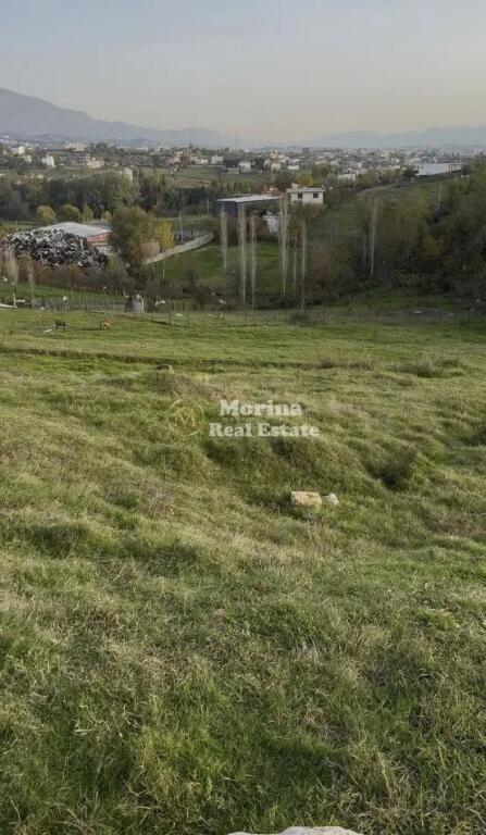 Shitet, Toke Truall, Babrru , 270.000 euro