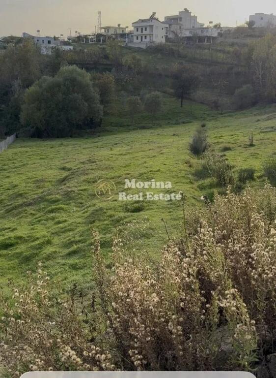 Shitet, Toke Truall, Babrru , 270.000 euro