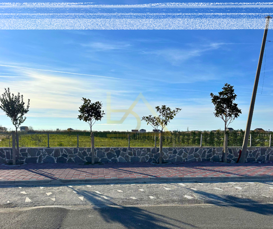 Shitet Tokë – Shëngjin, Lezhë