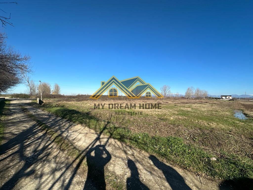 SHITET TOKE NE ZONE INDUSTRIALE NE FLLAKE!!