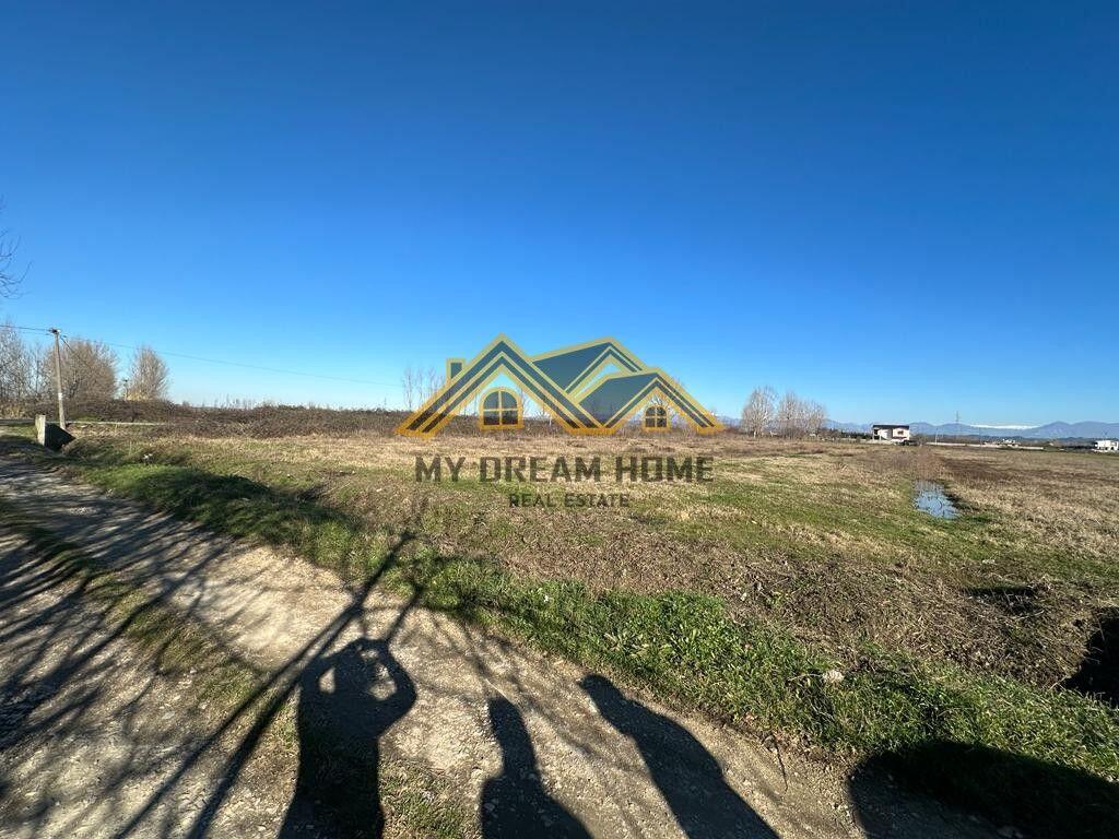 SHITET TOKE NE ZONE INDUSTRIALE NE FLLAKE!!