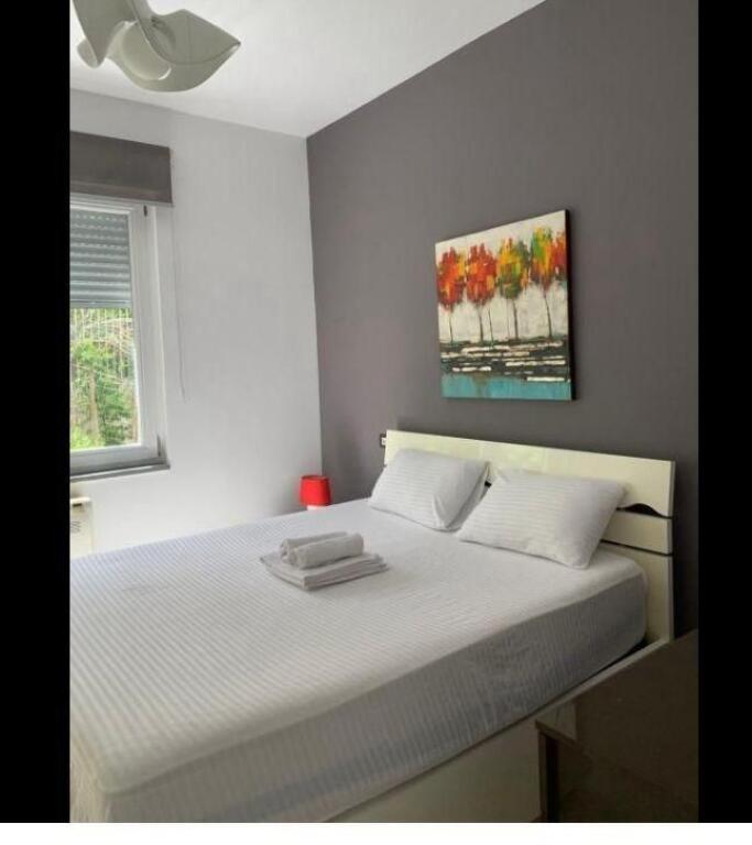 JEPET ME QIRA 1+1+parkim  600 EURO Kopshti Botanik