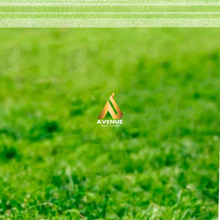 SHITET TOKË NË FARKË – RRUGA PANORAMA E LIQENIT, TIRANË