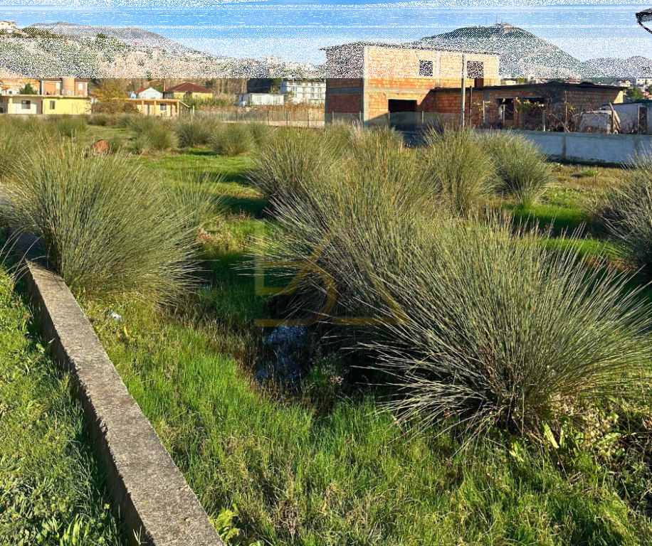 Shitet Tokë – Shëngjin, Lezhë