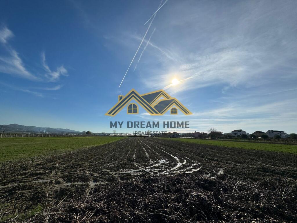 SHITEN 6735 M2 TOKE ARE NE KOXHAS SHIJAK !