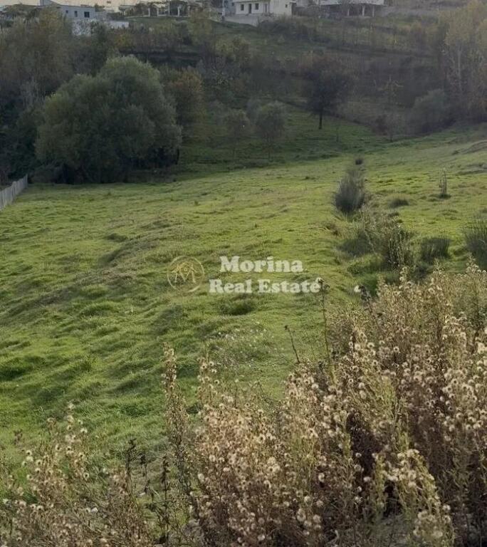 Shitet, Toke Truall, Babrru , 270.000 euro